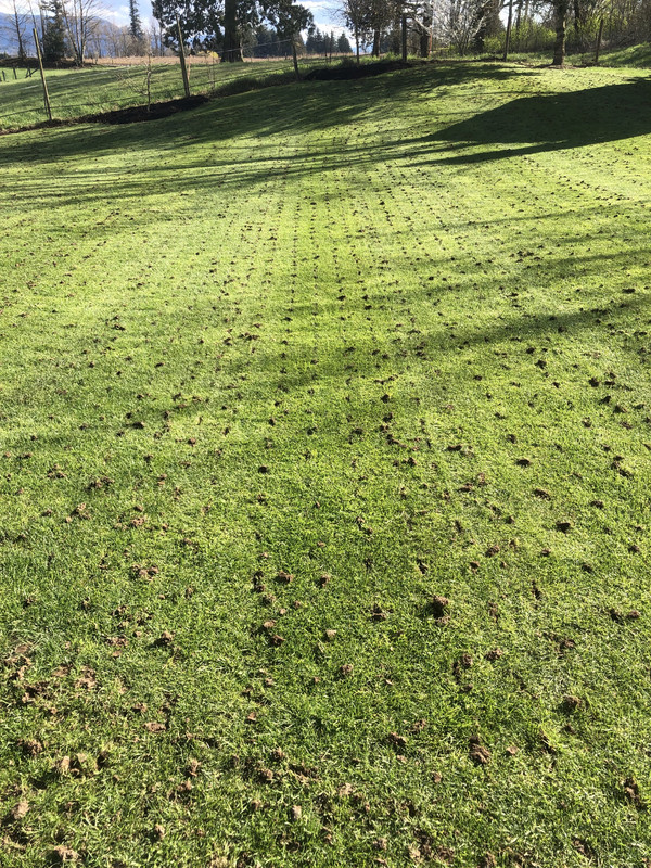 E8F9D903-D541-4303-A315-12F3C354B85E