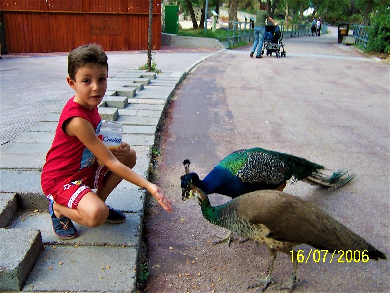 ZOO DE MADRID-1992/2001/2006/2007-MADRID - Paseando por España-1991/2016 (20)