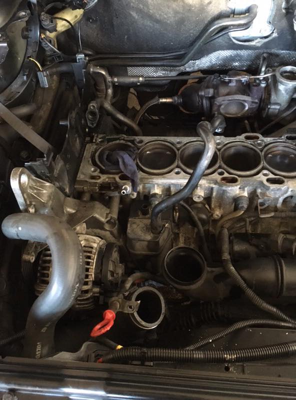 36994323_10156662595871977_113466791077871616_n