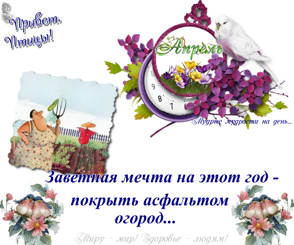 https://i.postimg.cc/MGX6jrpN/01-04.png