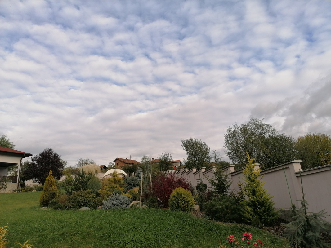 IMG_20211017_165959