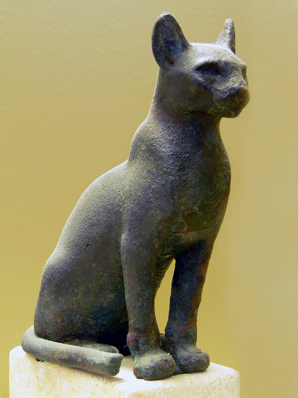 Katze-Senckenberg