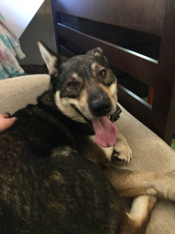 A7A0D615-BA37-4A4A-A0C8-AE6429A1E469