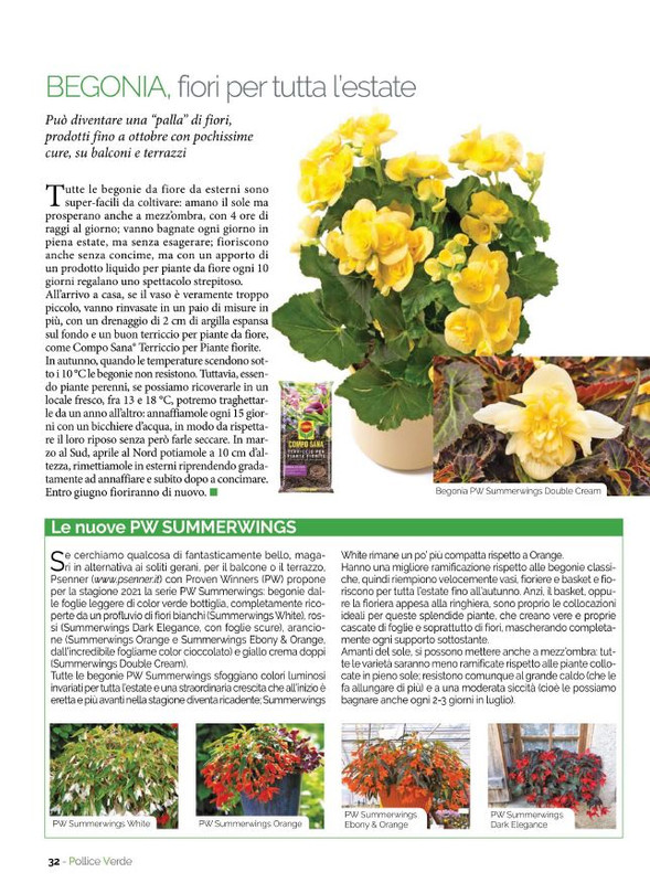 Pol Ver Lug 2021 (5)