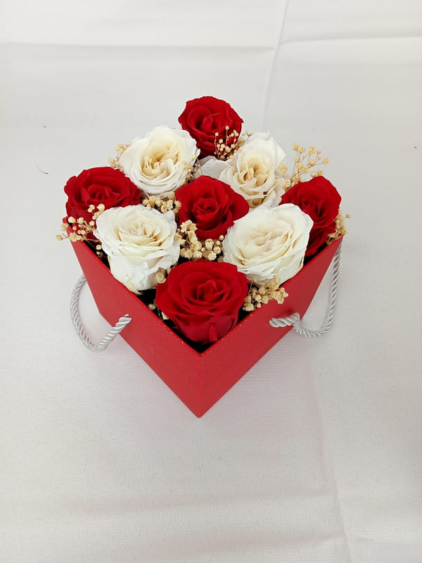 White Velvet Eternel Roses