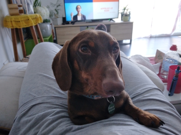 [Image: Resized-20220614-171120.jpg]