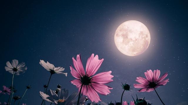 istock 1465441739 1200x675