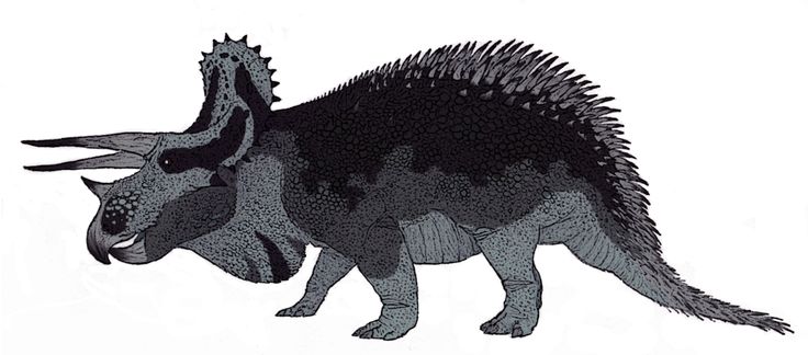 5a2aa683190127e46e250a556b0aded0