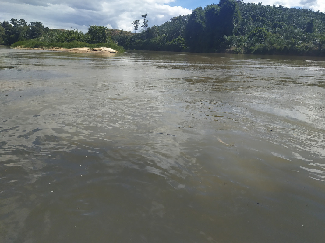 Uniknya Lubuk Pertemuan Di Sungai Perak