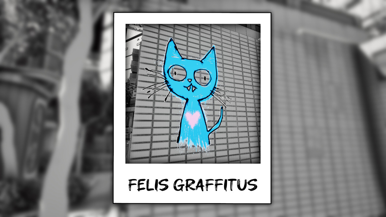 Cat Me If You Can download 