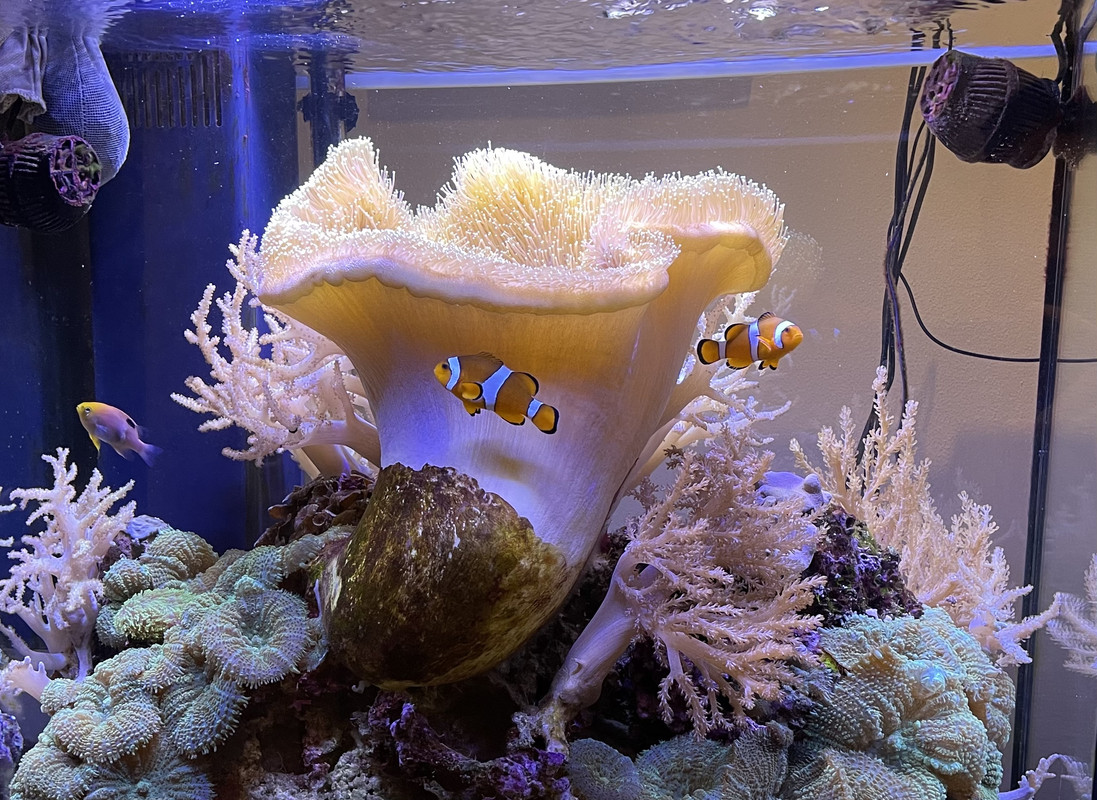 8235F691-3D49-47BC-A409-33A3A11F2998