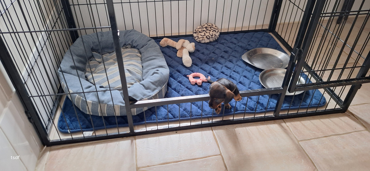 [Image: 20250526-182404.jpg]