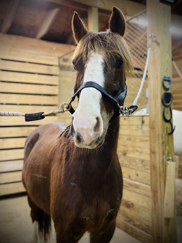 4DB458BD-35C1-l497A-8AD3-F8CAF9277891