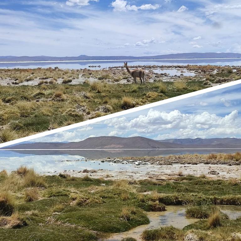 SALAR DEL HOMBRE MUERTO. MINA INCAHUASI - ARGENTINA INFINITA II/ TORRES DEL PAINE (10)
