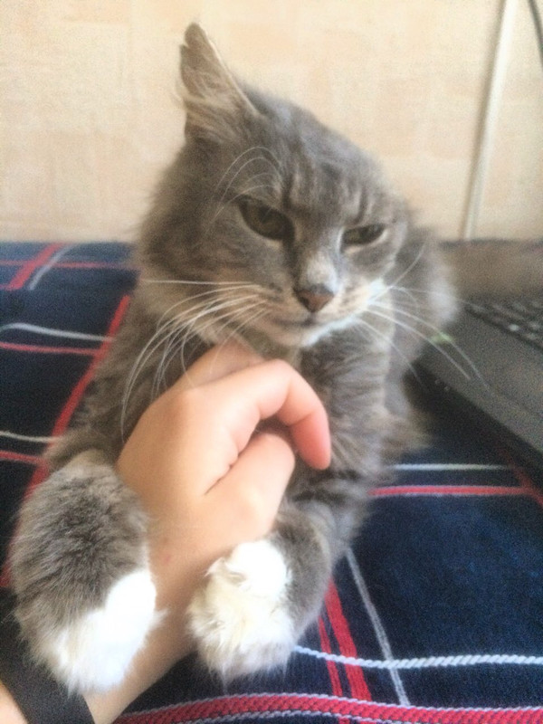 85E714B4-A362-4970-B2B4-4C5774545646