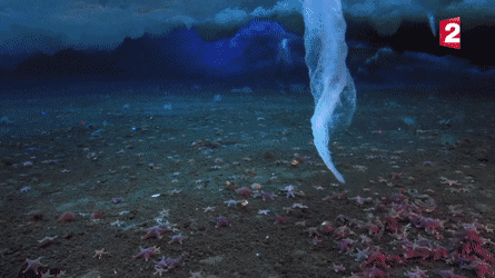 Amazing-2
