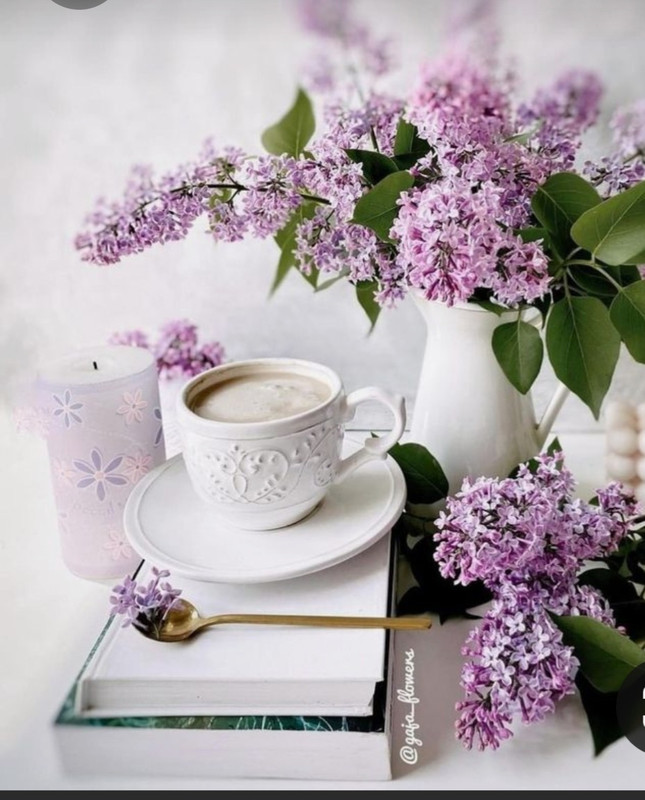 Screenshot_20230315_232842_Pinterest