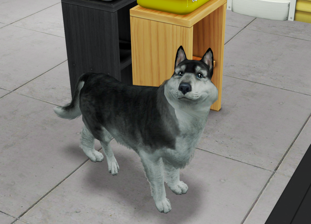 Sims2-EP9-RPC-2022-12-20-19-19-00-96