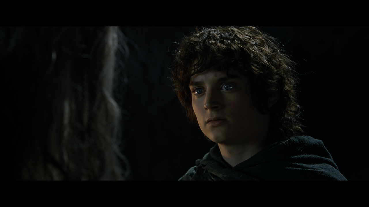 The Lord of the Rings- The Fellowship of the Ring (EXT.).mkv_snapshot_00.22.36_[2020.12.05_22.43.53]