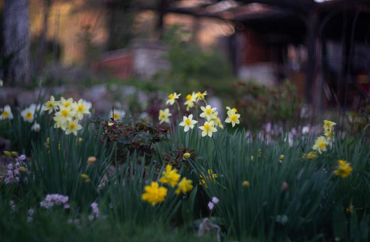 IMG-8987113c5b69a679ea03abea0b476916-V