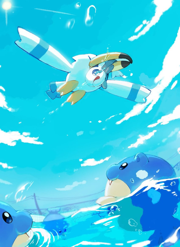 wingull-wishiwashi-and-spheal-pokemon-dr
