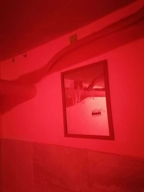 IMG-20210719-204320.jpg