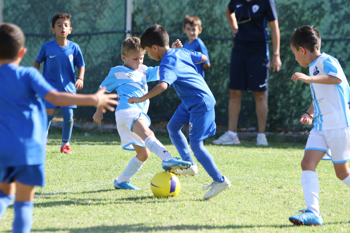 VIK_1195