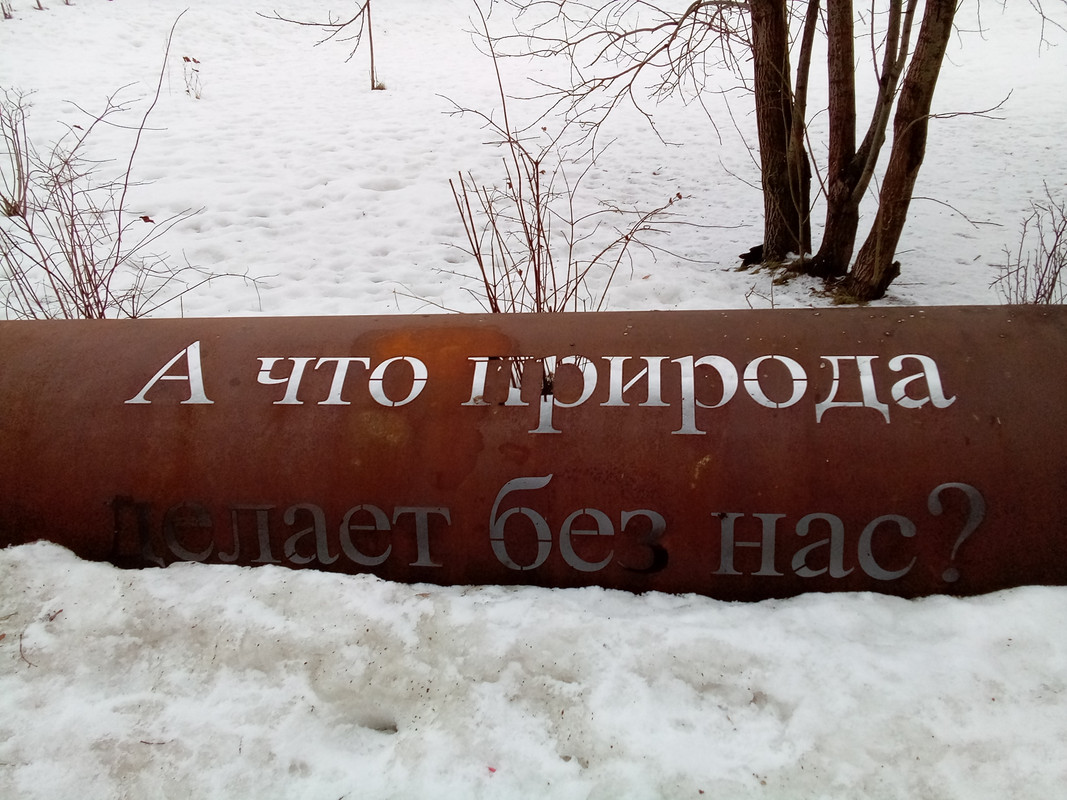 Празднуют новый год. С рождеством христовым католическим. Рождество христово католическое 25 декабря. Новогодняя ярмарка. Празднование рождества.