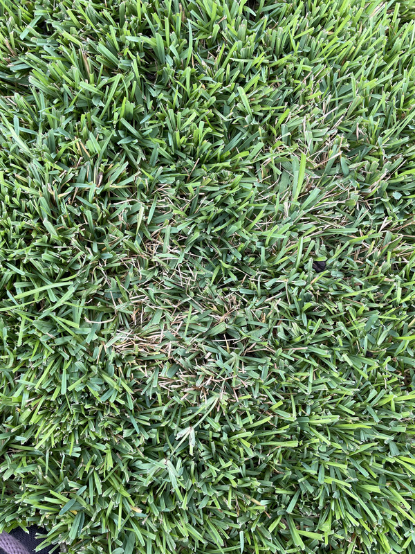 C3EAB06D-07AA-4AAA-B9C6-2D8C8E7411C9