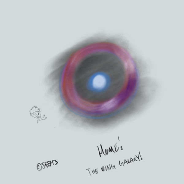 IMG-3119.png