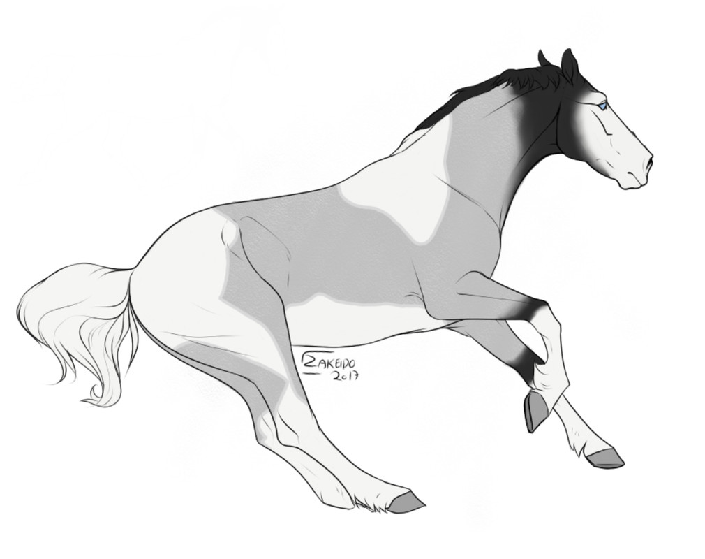 1289012-E-6-E0-C-4047-835-B-DC60-B3438-B56 (1)