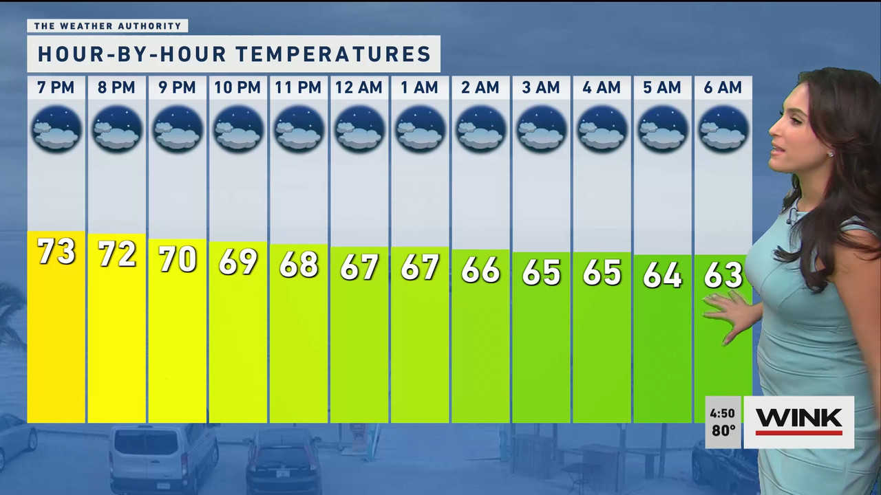 01.21 - 21.00.00 - WINK News at 4 00 p.m._001.ts_snapshot_06.07.448