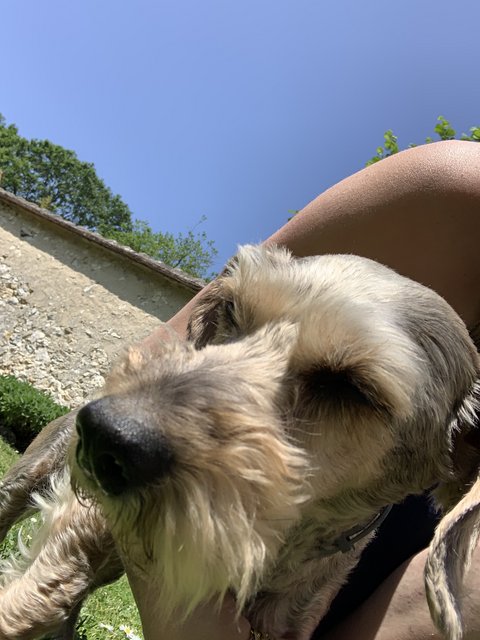 [Image: IMG-6535.jpg]