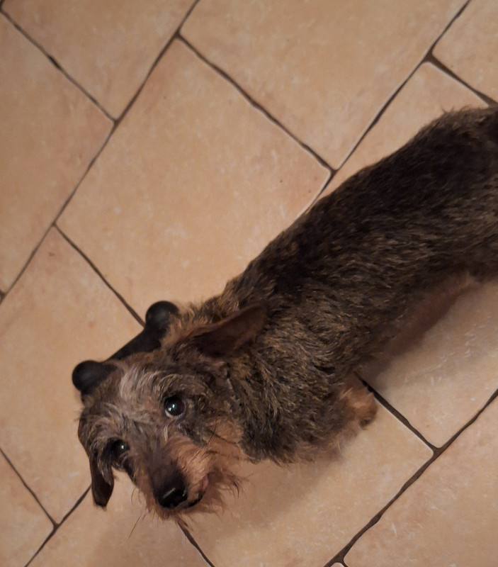 [Image: 20250210-185407.jpg]