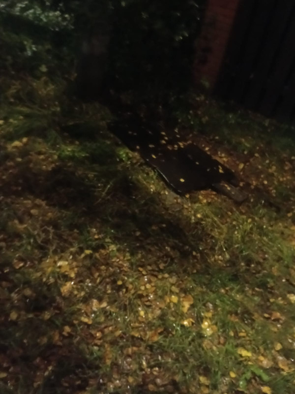 76d5d186-390b-4b0c-a4ad-4326a79039fb