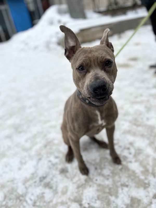 88A51F51-99CB-492D-8F4B-22B41F6B7D1A