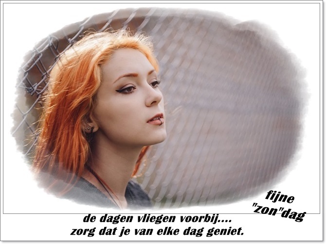 welkom opblog Bunic Jos