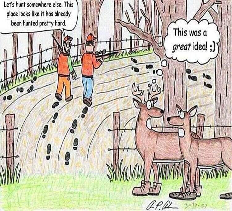 FB_IMG_1698194365793