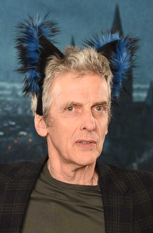 https://i.postimg.cc/MGcV22JX/Lovely-cat-ears-Peter.jpg