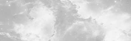 secret agent's banner