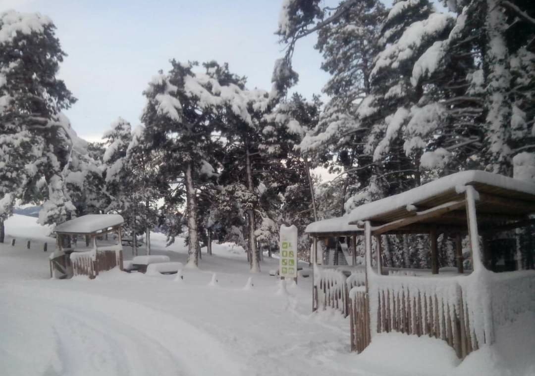 Screenshot_20201228-103936_Facebook