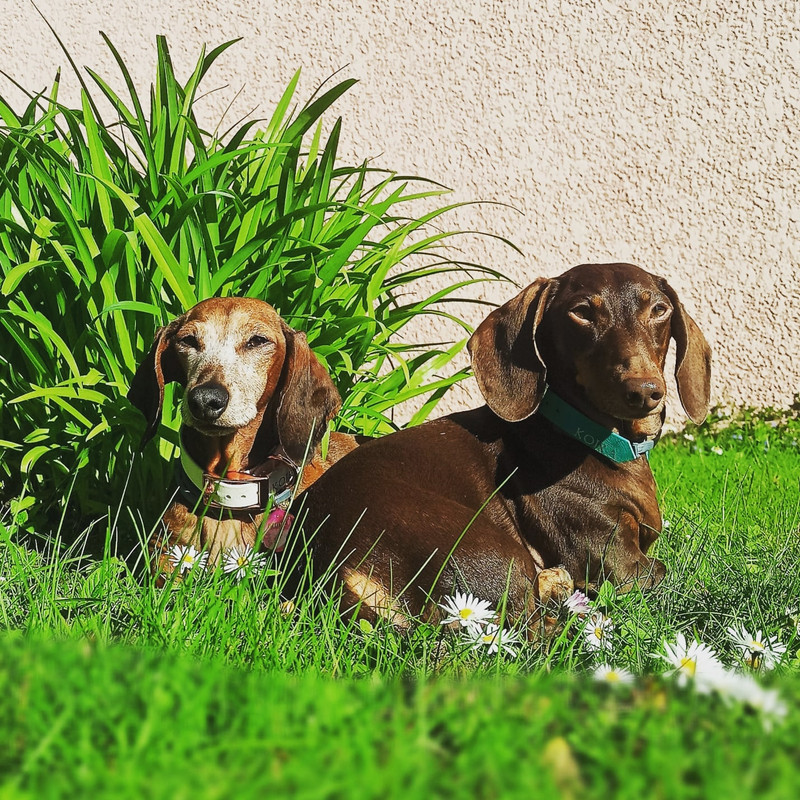 [Image: IMG-20220418-144603-736.jpg]