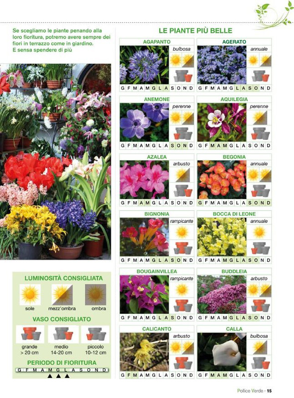 Pol Ver Mag 2020 (2)