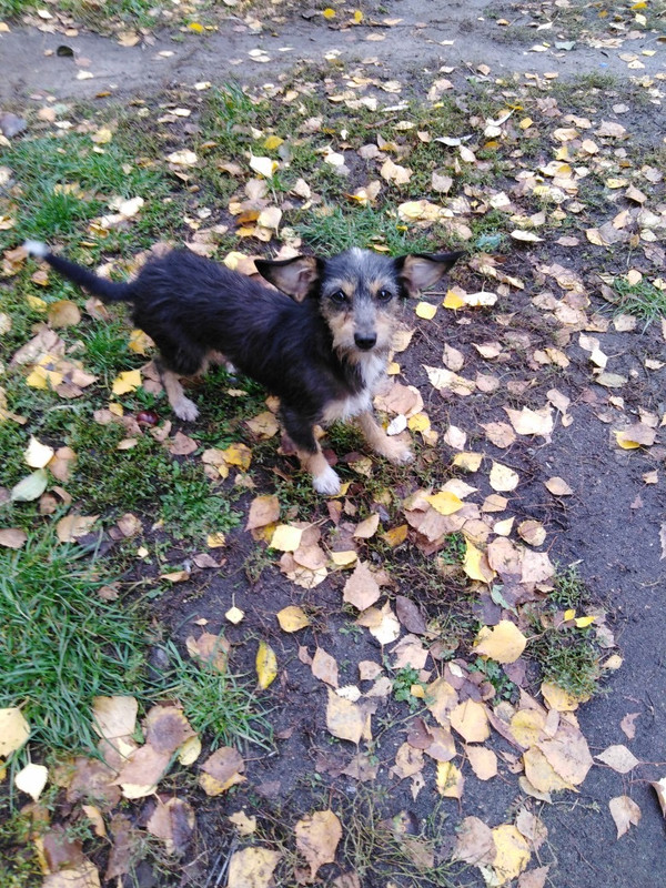 973C79AE-7A2F-4D05-AFFE-6397BAC824A8