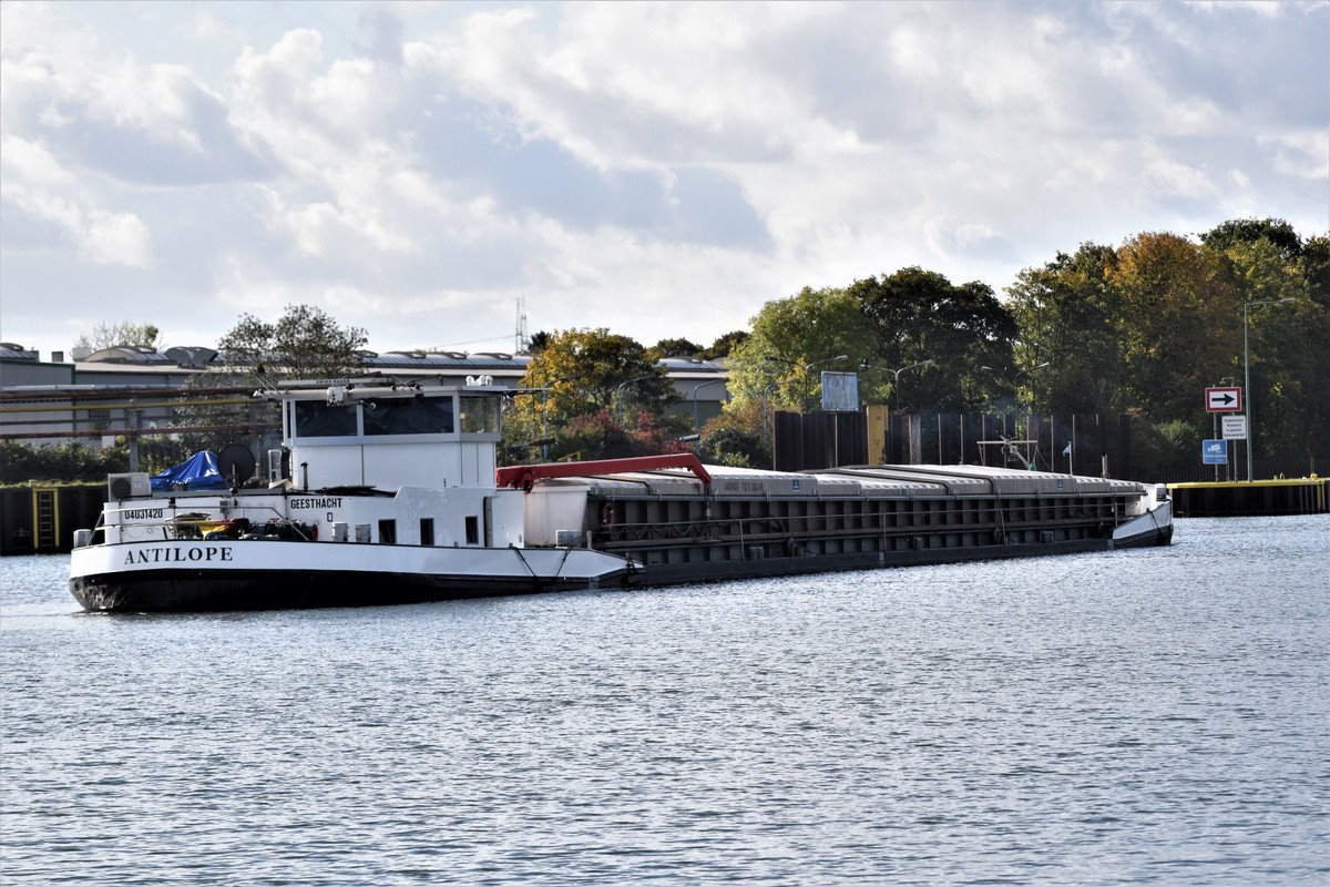 2021.10.15ab Antilope (1940x1293)