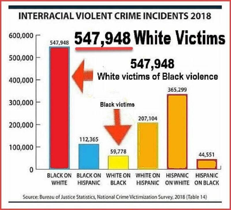 interracial crimes