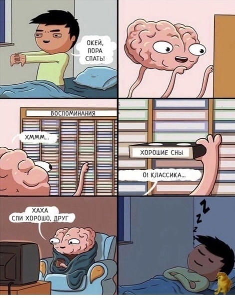 https://i.postimg.cc/MGdS6hy1/Re-E-FHUcw-Yo.jpg