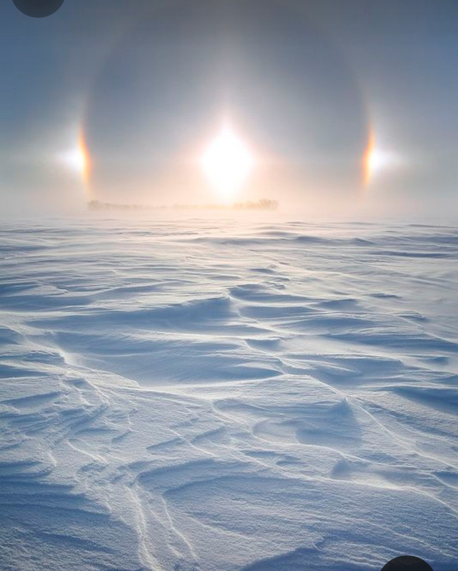 Screenshot_20231212_202156_Pinterest