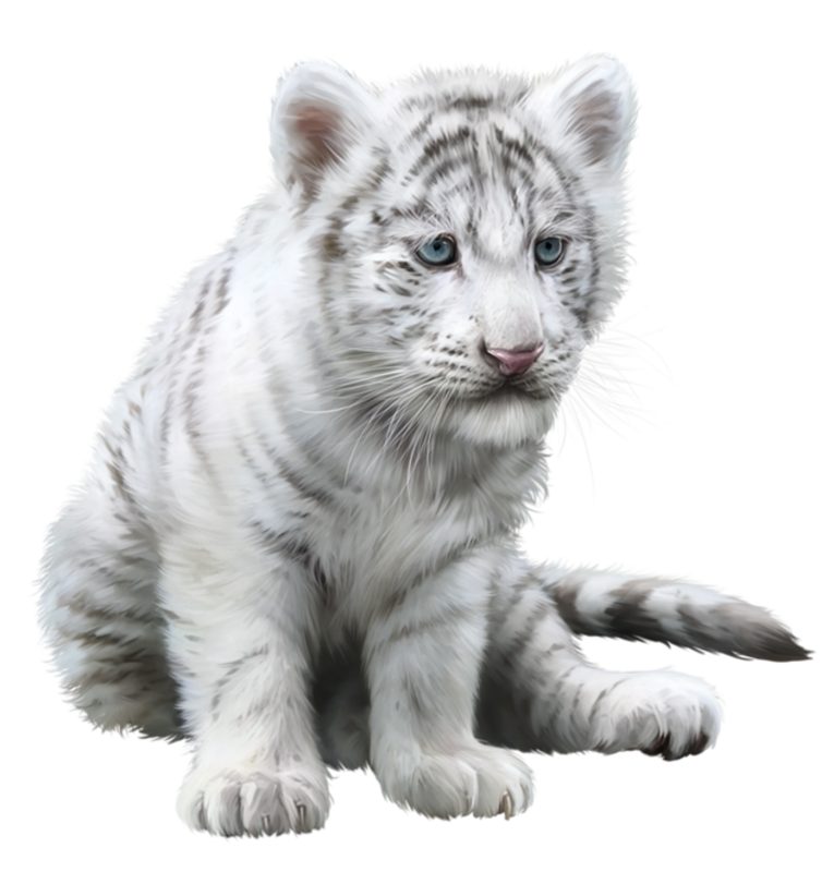 Siempre Libre & Glitters y Gifs Animados Nº349 - Página 54 140986573-438-Little-white-tiger