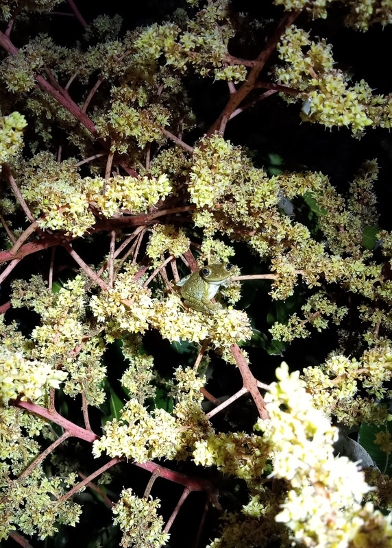 IMG_20250208_194831221~2